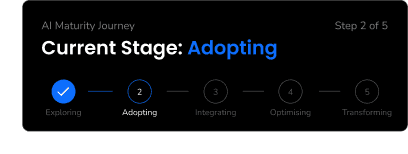 AI Maturity Journey