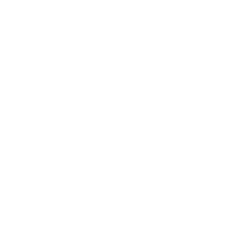 image of Falcon