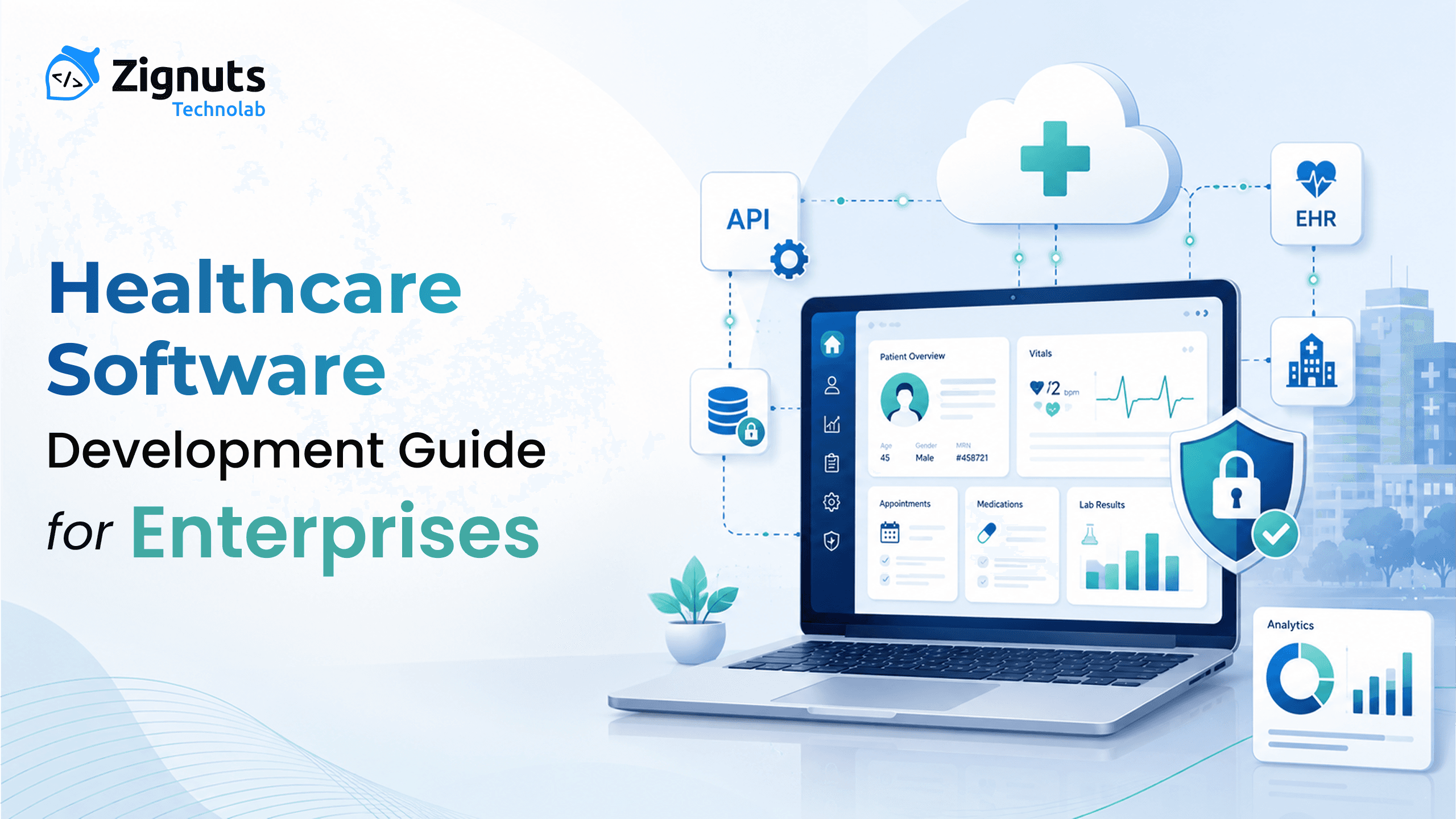 Healthcare Software Development Guide for Enterprises