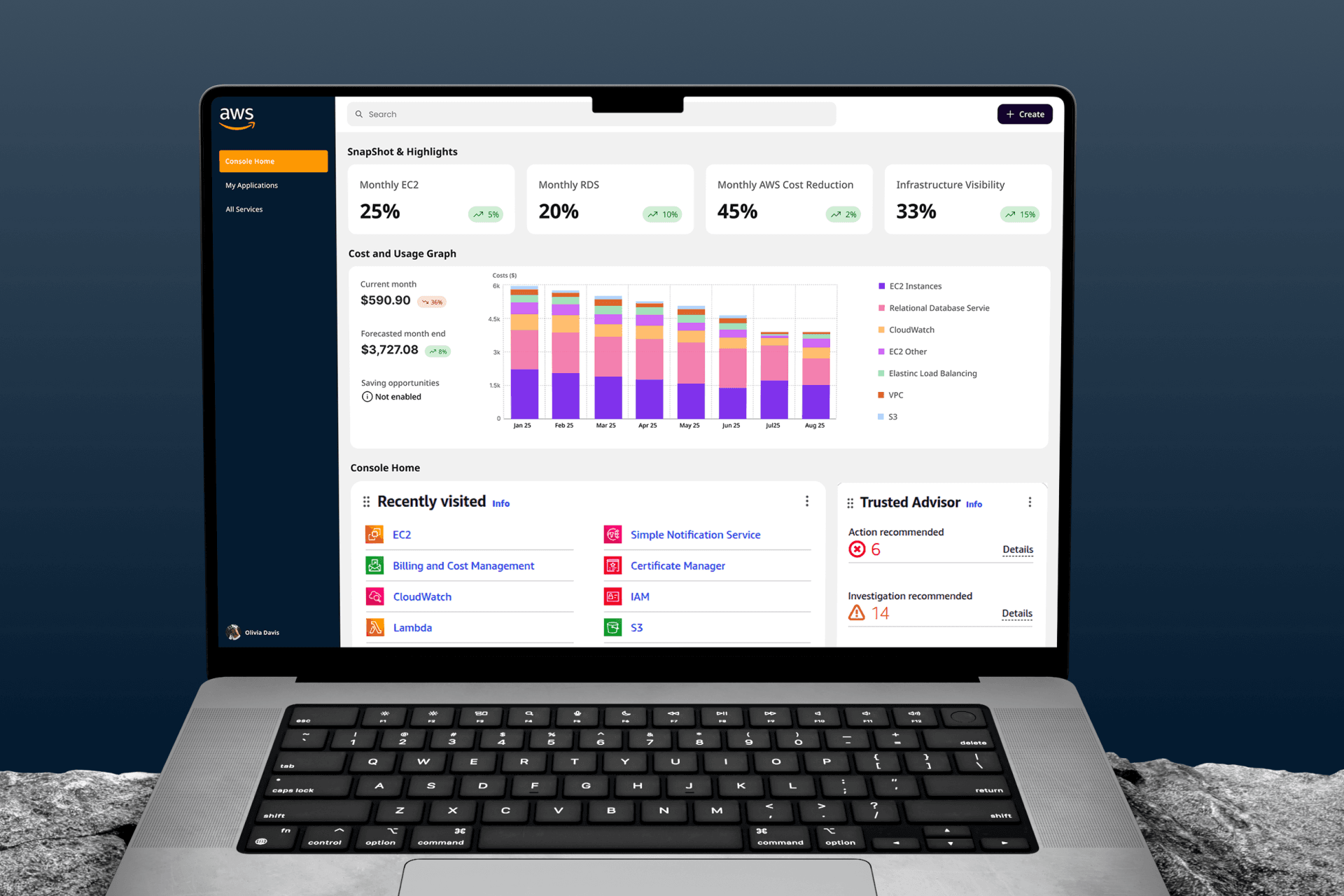 AWS Cost Optimization Case Study | 45% Cost Reduction